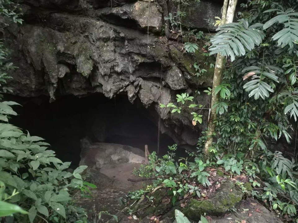 VHOhbVbnbVAZimCWi3NdhZC1OpVYOzAtXRbNv_mcKplNfobXp5tuA5MZb6T-T1eu