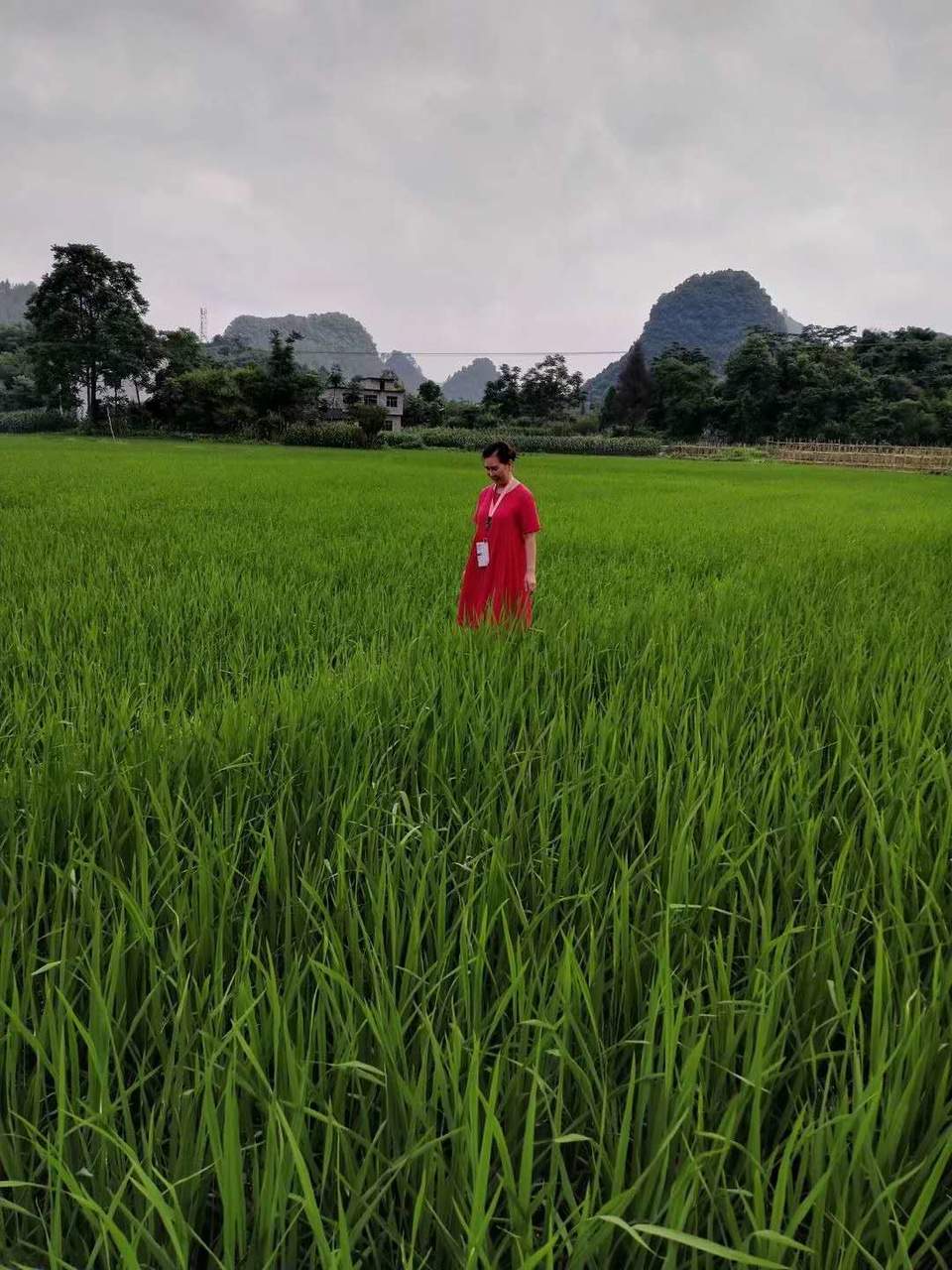 868j72ENFwCKvV_AWh1Xb-2jJsx1elJDH4OSvMTSo13Vro5S7D9KL-Xxte6yCogl