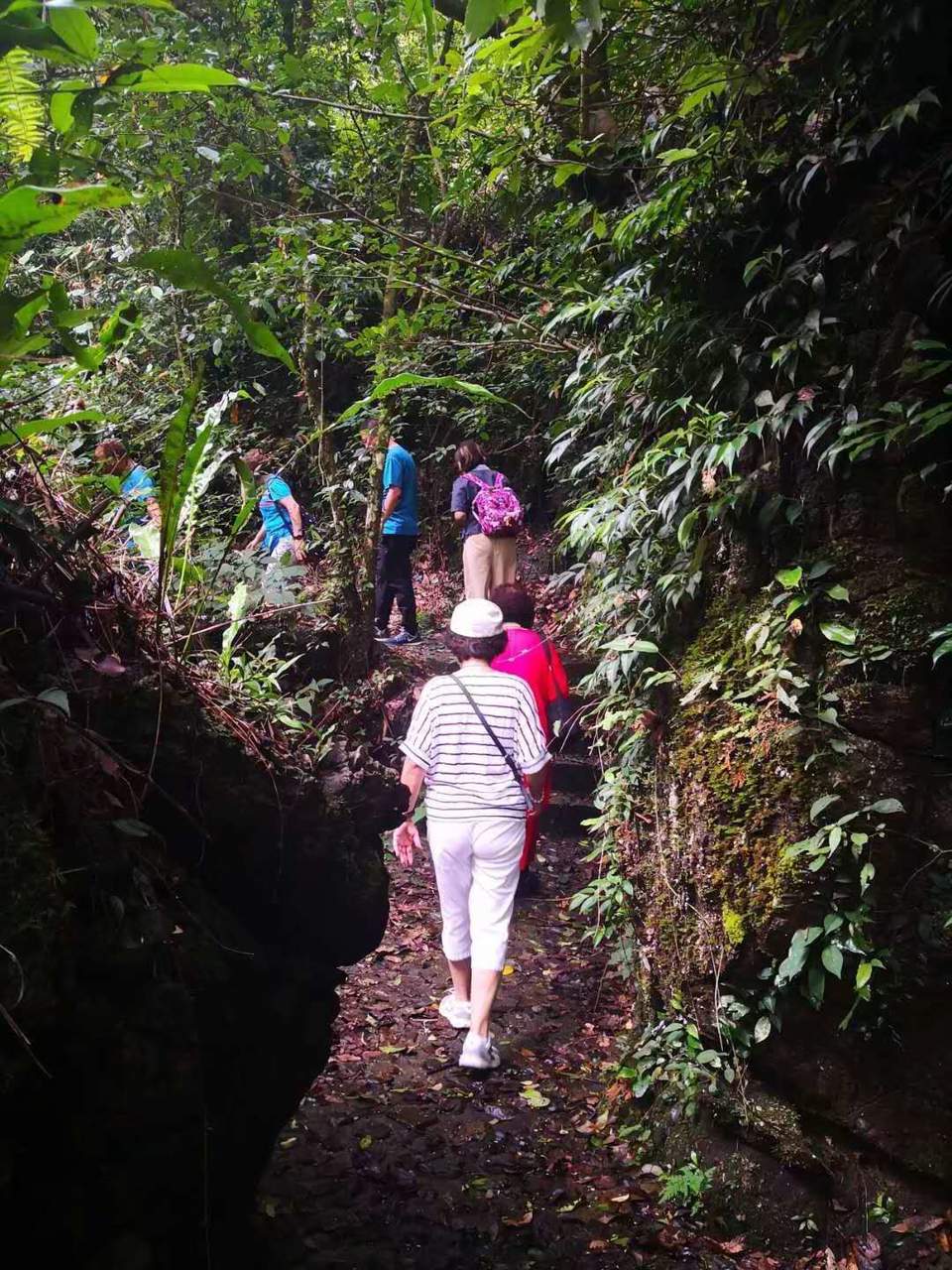 f_kKY2WDU1VAf2YZuj2ASq4LN_vH0zrTtRiBDICwC8XUHsm0ca_lphqRWs9Lkaw0