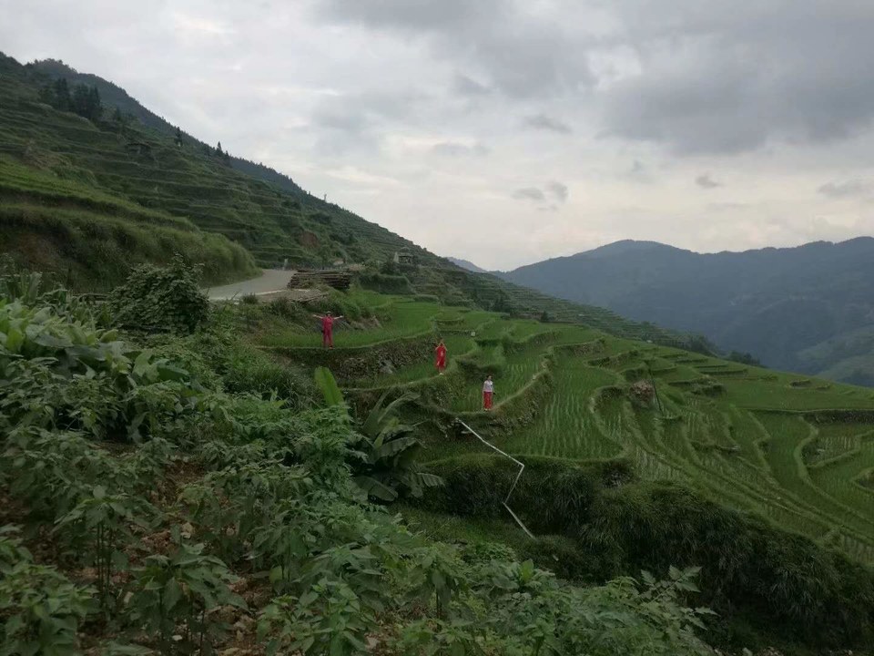 vM29bdiSmajfZNnLnfa4Y-DhWKEYDFsR-Y7BK6hh08gDtbu3H91rxcnLGAIIhZlb