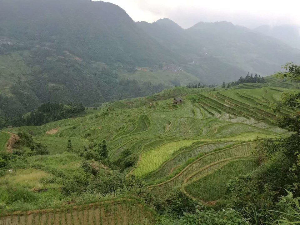 rAWdRKCW3-1YJ8i3alZc6ZzY-d7YpYMbKhbyIcXlMhc2JoW2QsLqPjMxf4eK0Nep