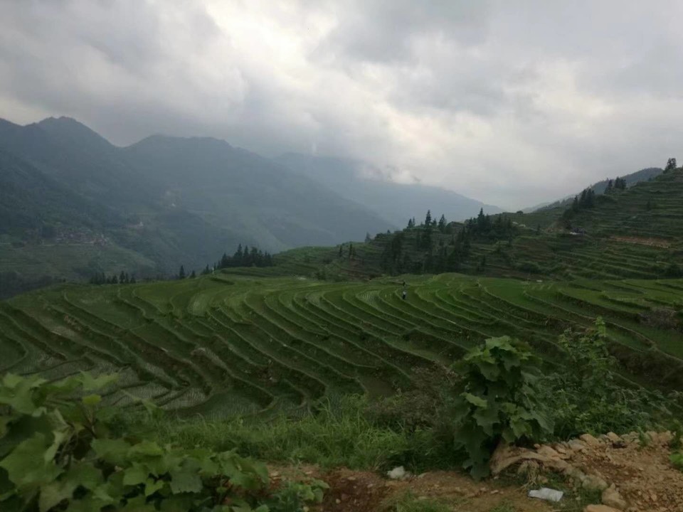 ZskgNrmbwnJUEl3OqrFoXqHuTCeshZRYpI23JjhsO2YyZnp8lzwLirv1mHi9Prfp