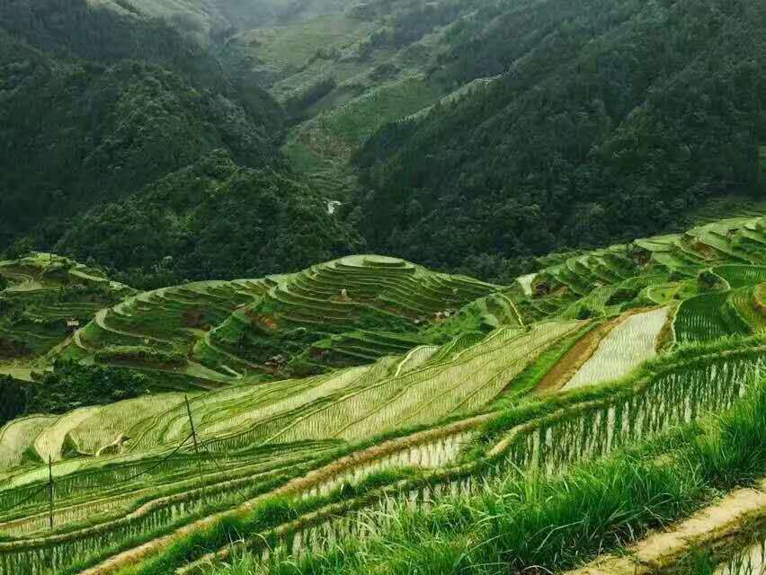 RlRx4cTNqhAnWxdUpeLTQAXDYvSzpfYjHQ3SujS38Ft6lodqEanUJhi3ALbAabXN