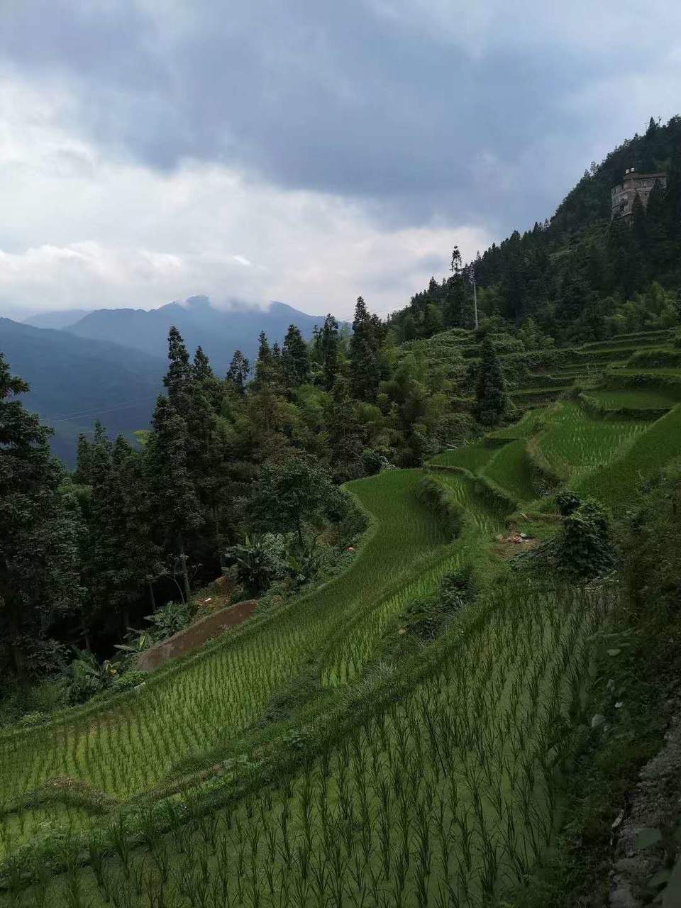 FAs4uubiR1w746Pcd823PEEy_kWb407uLFxwjLFeaiNlaWoz-mECZVeIUNbF_V8P