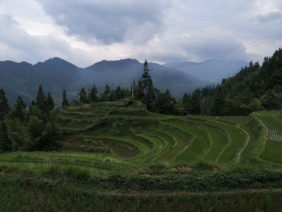 M8GomTnmumXnXQi7CWeyNlW0RDWx3Y9tkcbPhTj0WppoUwLzZdwzre_h92oDkarx