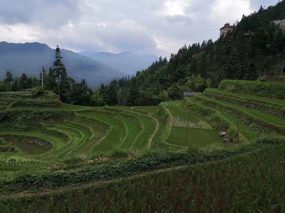 mpRKMeN5lVGpkJYZhI5yBgeezx6Cx-5diYb9V40LT7eBdovMmx1wsNiG8BHq0L99