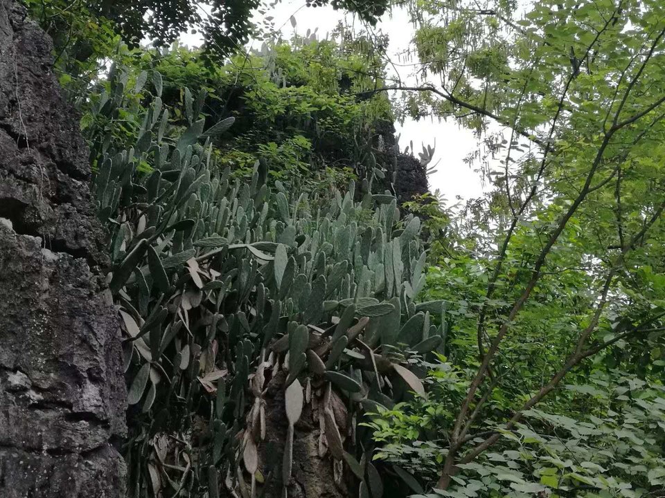 myDfyfyiCBvq5NCDbsNxOfm5uoi9YdC89u31QBj4g0xpLPagHEkHfRLZ9Cop6ehd