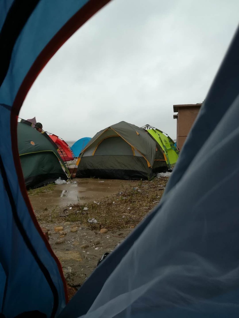 35q9FNPNRxBfbz6CGcba6DVqLlYGYzUr5SLdiZVengDaV3eBcIUQh-KUPAdUG0GG