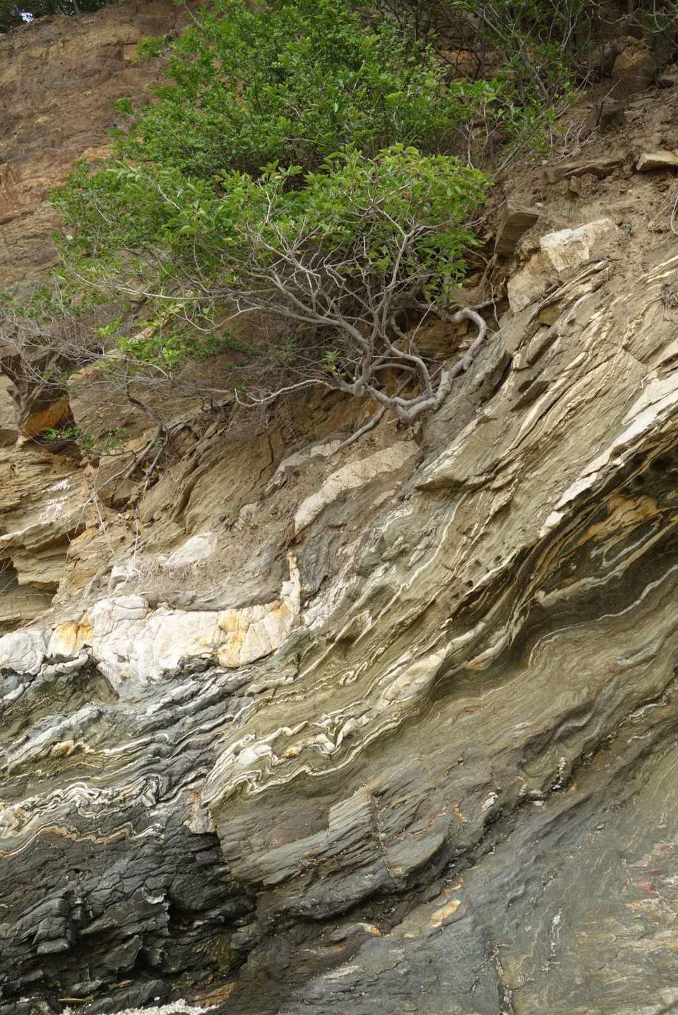 rlavniJd244UE6gygKFx3BmdR1T724YgXkyQncUpE4fTHOGof4V2s2sYy9R-Mg-z