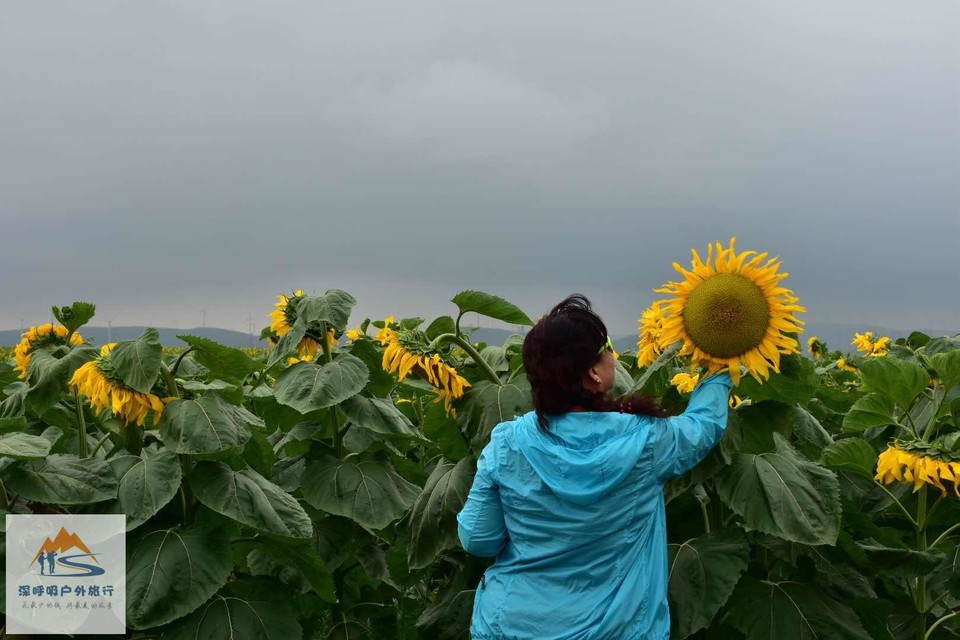 3YWGKOjaz8G9zKtoq606zD3Sag8z_fkmC1C5QBWwxq5p4AtpMP1vrWb4SXdv0qDG