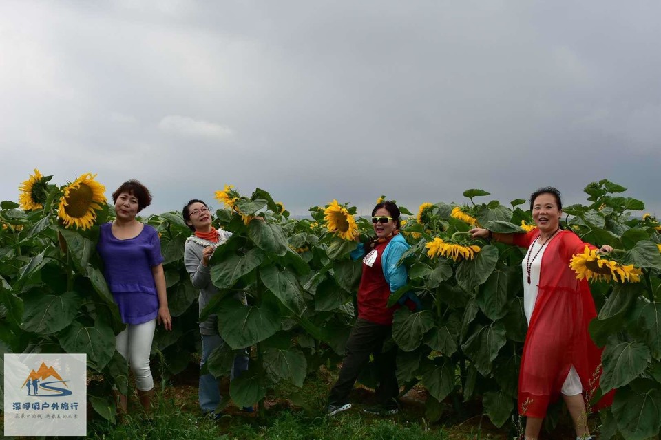 kJyKd06LX_nA9q4G-bH_OJJKU40lO8YZo8HAExbMwmc3pBBnxy5MD9VGdVLADNFB