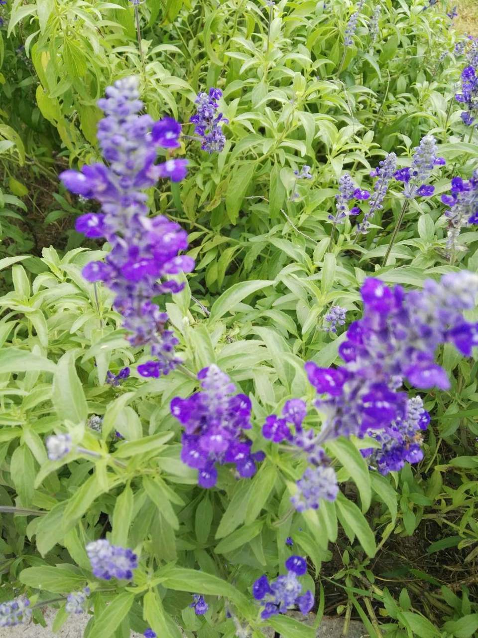 9MCfJE283Uh7WWMTJuW_GIG-Mjc48TGC_LncLlrrqiBR5ktNL-BkZK5RUDAxAO6u