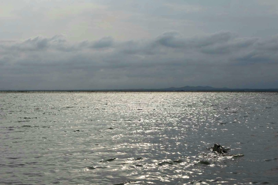 OKFH9MpH1Nf36LX135Pb7wx-z0V_gx_frD677rYzmVt6q6zvaIlE6Awq1NwSPuK4