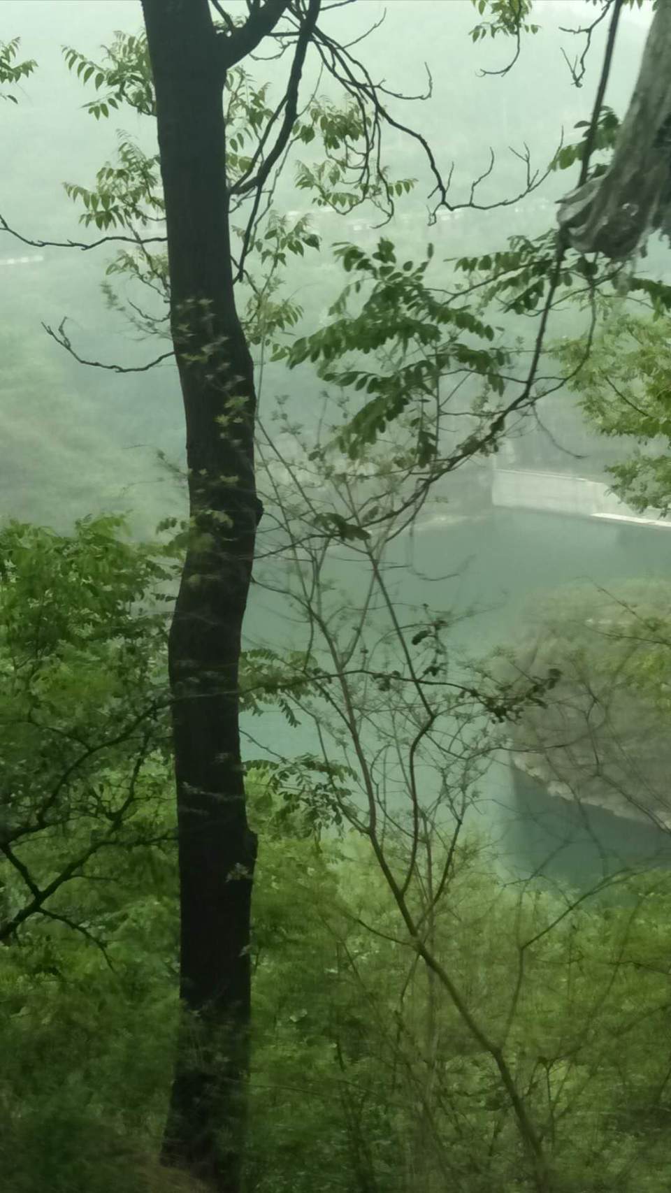 2IVokvG3sIxTIW-WVyTnWnd81tjzvX_SBBJ0fTZTtKAMuVRTvpjJ3dUfBA_8aODK