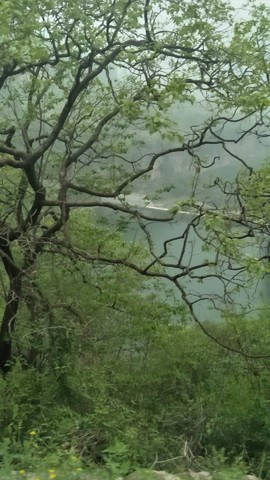 UNLxg-e-_rsSRdlrWCQXDp92aieptPlqSAb9TRE-770synTgO8L0u_siikaK7pQV