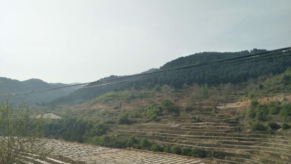 _dPUBAVoqqJCop2pr7jZvx8SWs9Pn6CQiqJ-GeOZ9PAlq6rG7G-0MSXWE3CZfhBn