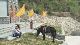 0LA0VxVUHQZJoEQt7-uLYuyynGBqYq59VsPguYBxS_tvB0y_7NbYZPiXuY6Cv93T