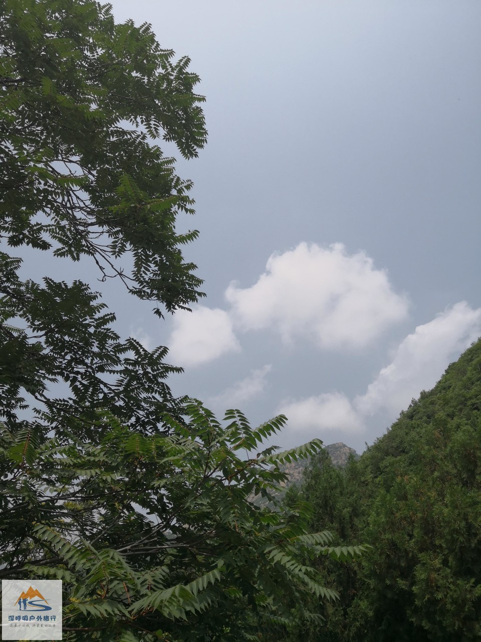 Pq19oGL44jFgmLVwxgNrJJ3Rdm-XYUa3wKNQJ2dVNTxO5HmMPUtgRwHoJr301JMi