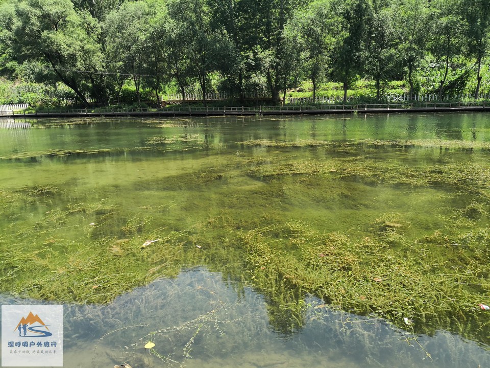 OH2__TQxjE2inNbYUZXS319bioEl2ewIMt1gCQRAhKgaqb2BHXiyvcQfOctuwamf