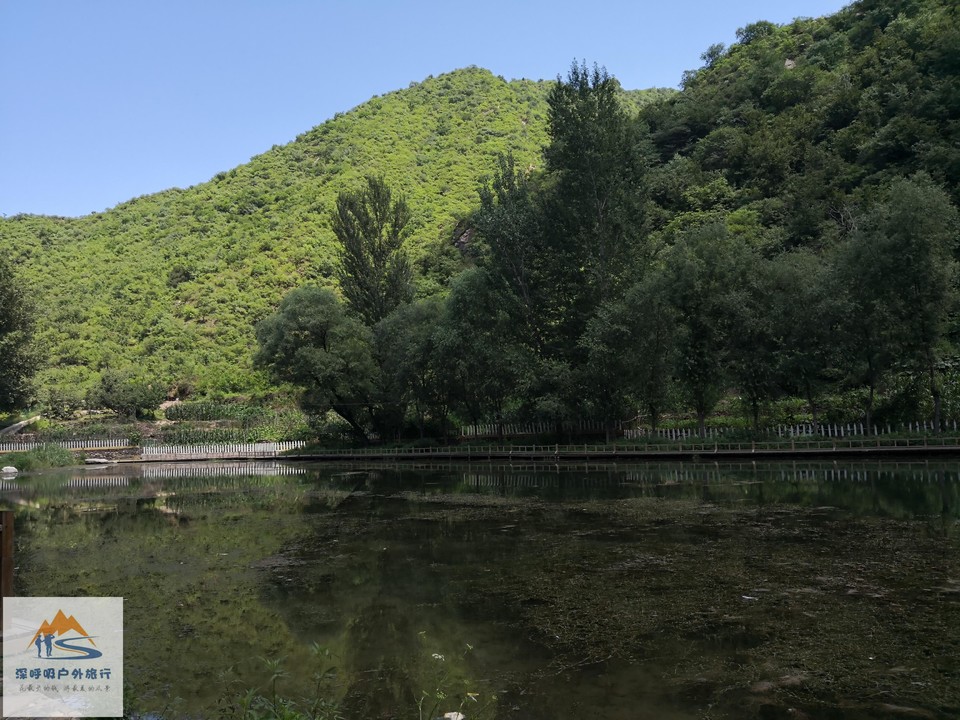 noR8BBsg5z9umDut5jyguQ66SEb8VzMo5xeW209973iyxwJUfT_0khJVLo1v4vNg