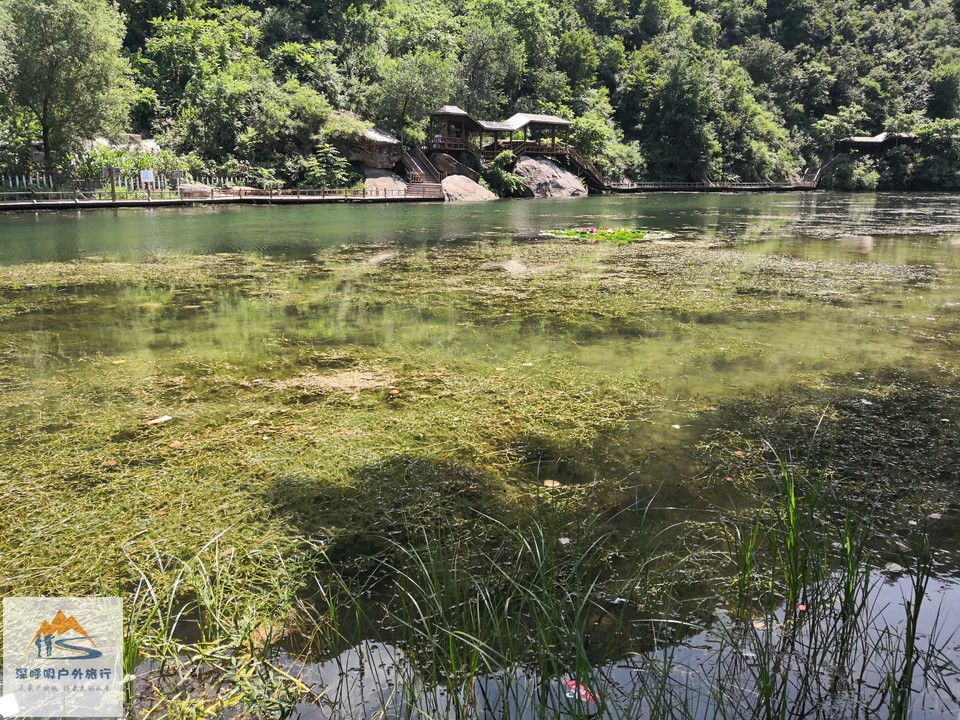 o8mheLo1wPLoXtvCYAxiuQKYwS7N8sbGSA325GKwiSyIjA-KdqF0Is87AgsCkBX1