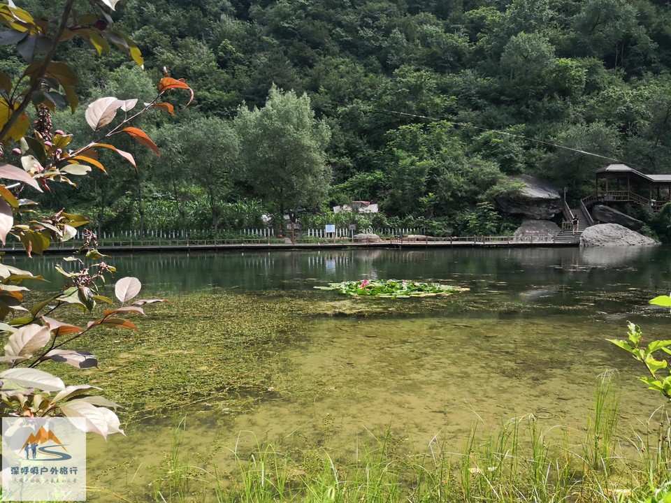 te-5bKON4wzwRY5cNkcQ-Pt61s-wd9fmFCwvKlRnxCyteNVi303y52scuLSz4uOq