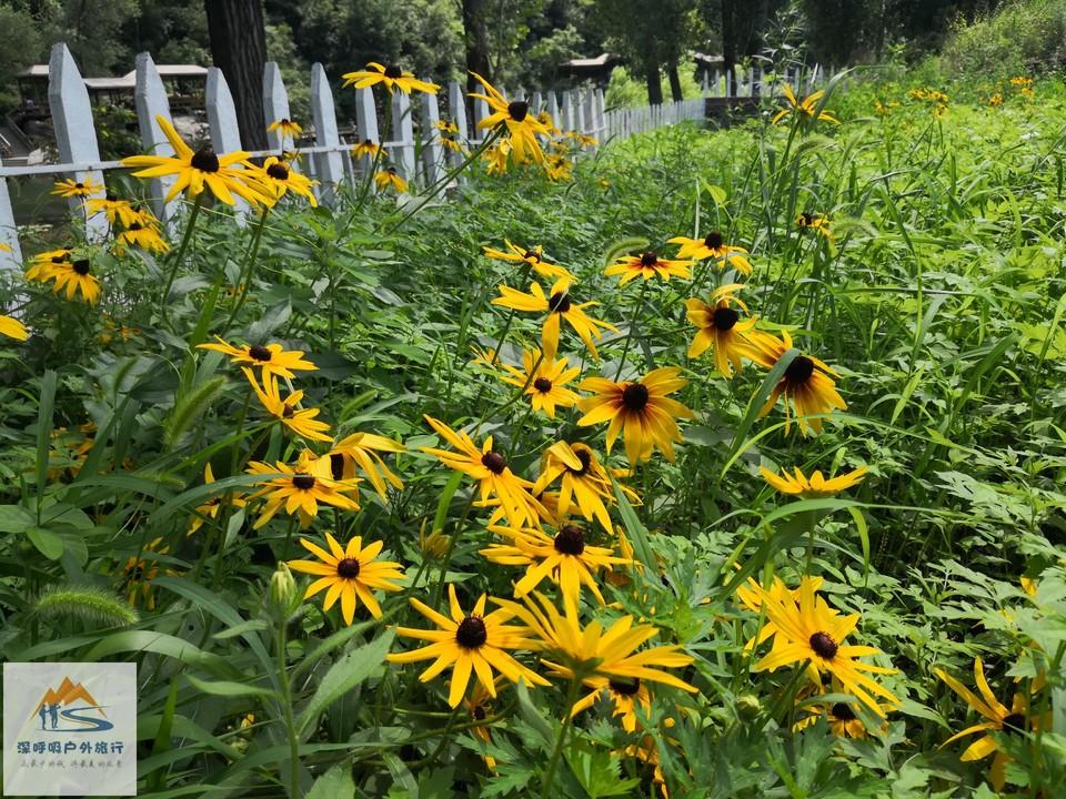 oGWQjlM1pojcYi2qwYxaEob5BVGhGaNqjlbZpetSWcMju-WrKxCLHu5VdVYNk9z0