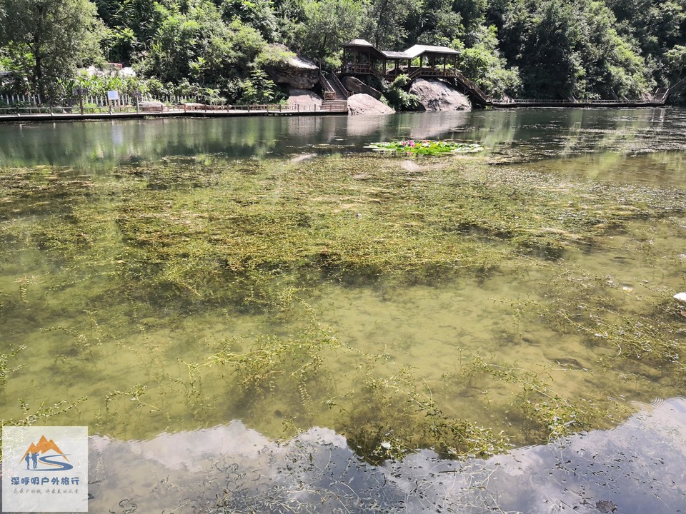 b11AvI9ZeO4tnRfDtmo3L8kwXy2Nix4S29CZfks1ThTk3saHDBZqF4nrszcQAdQ_