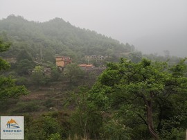 iiCU7W0hkztJJ4QflVqbRM7TTWiTwfTAKvjGPMlFLAJ5ow9jogmcT10-tmz91yFb