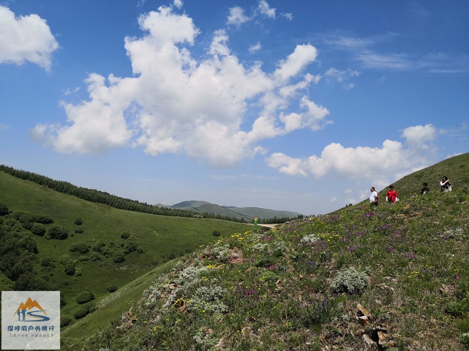 eeUCaOojba_b1K2LSQY5DRQmrXb07zmFYeD8ag80LIXNSQMDAJOjy2mFKtIOxL_Q