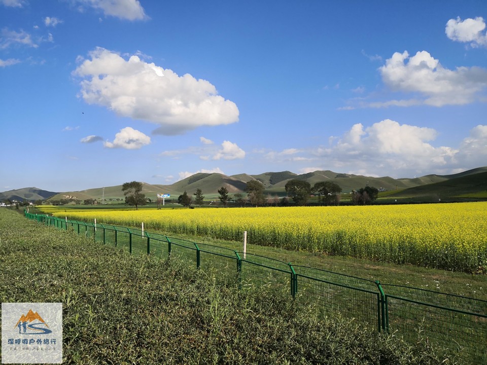 7tKzA8nKeFKtVRZA-qJ1mI_S-LjooV9XRQzwJ8j39vdutmQ0DgIJw703CGH44j2W