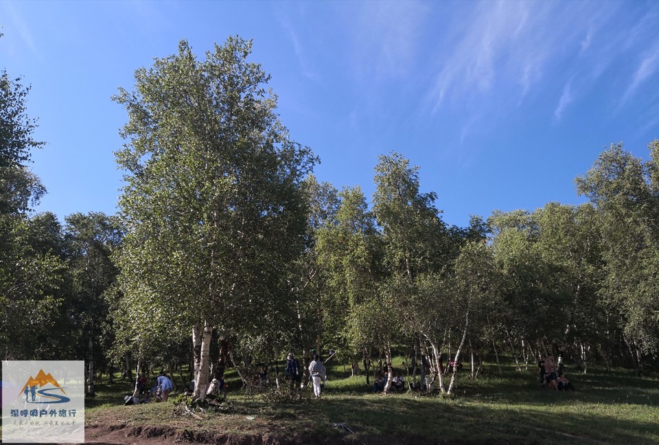 TwNwNsBLsc8pLCz1gJsRgs4k0kkugDu5-mykgzh_km8FWa_tMWC9HZGpbRZA2MHj