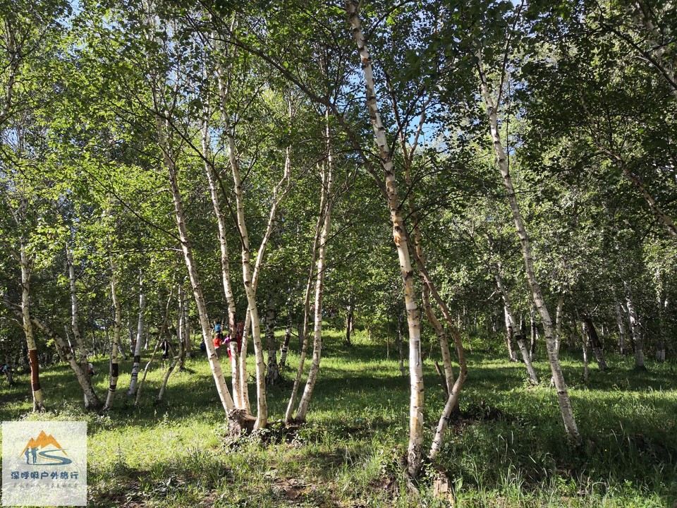 jdVLE1N-MAb8214pcHtdvdXR-dItD0G6tyFJMxUvBib0Xk84iK6sNKqzGoDSre7r