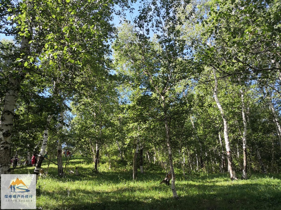 szv9DM2oLr-8OrCgfajIy2zF4nsx8Y8Fy2DC0FA7B3j8B3bzBx-cfKsqKloc3RrE