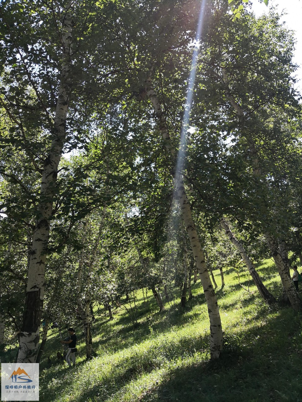 NVE2aVzvJR_Co7SxeIA3Pj-SZ8-eEMYXgyGxA6YNEPdTn80gUA8INiS9FOJ3oG9N