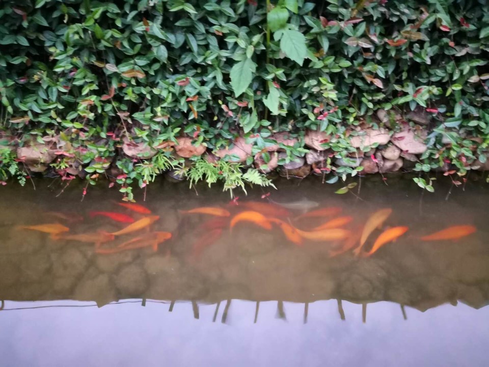 jhrHCg1G-S1Wa1DyLowf9xUMq18GW3pOYanacnVXp2tmjQ3FnGwe1zjDsiqyRST-