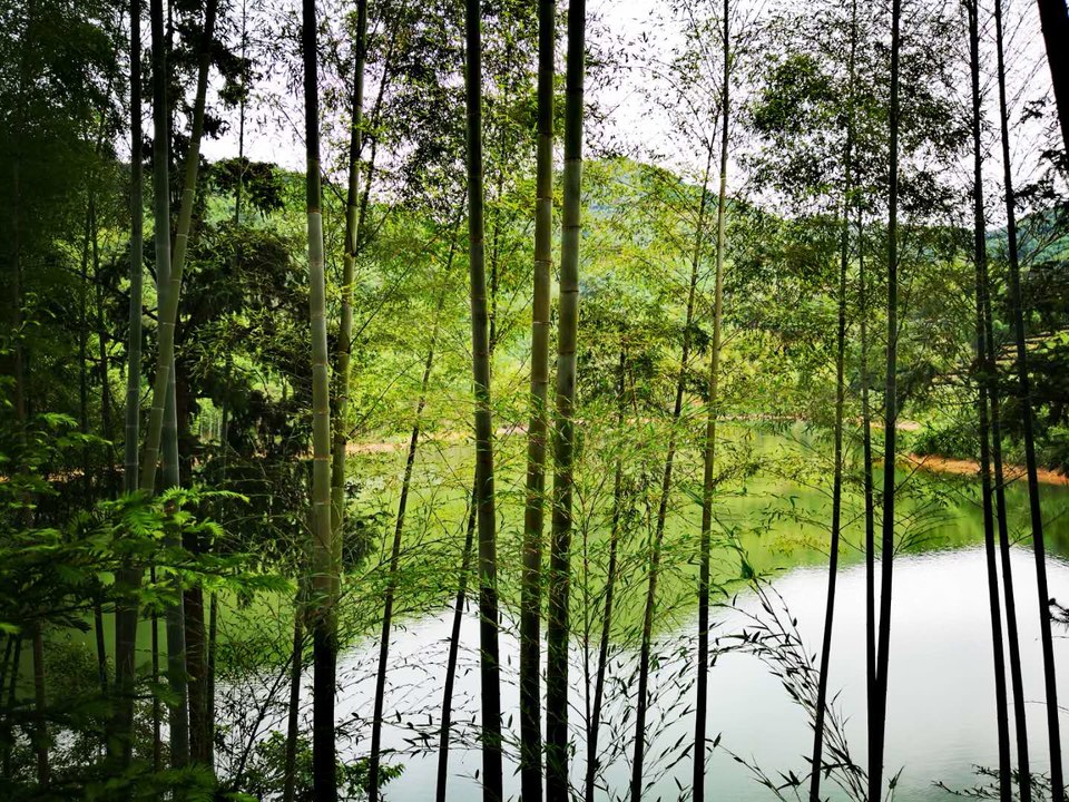 WghIFaZiIfawRtc39eXR5g09QjKELZDzrsVMXPj67Dld1jpIpNOfjR2jy3GSr01Z