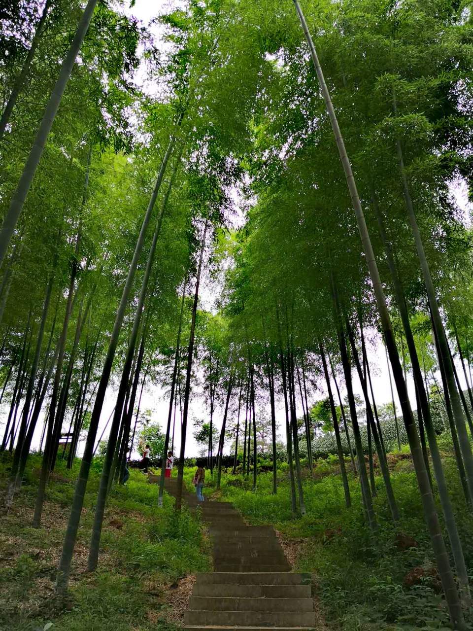 V6bt3GqfK84iNUQUA07eYFa1q2Kf__2bIUSnK6HTDQP1lrP1zOdwj3u0RJ2hSpCT