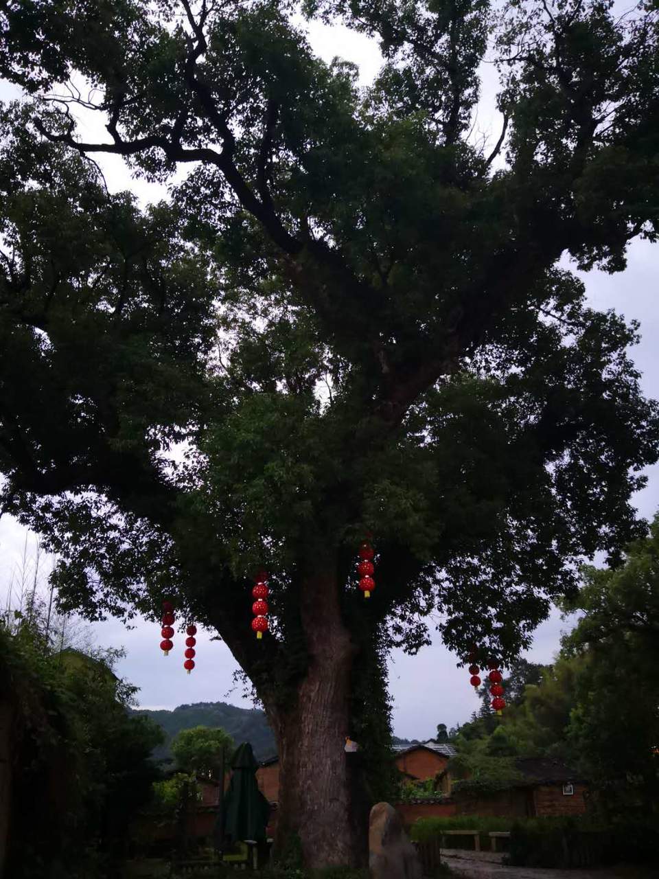 BYFBuPymuOCO_KxyBAJzWDcGZCrvOJpuQ4Ro0LhZRGeYo4uEh6kBKWJWmIwP0Sh9