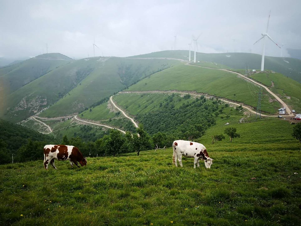 vHoa7etMi60vR-DGjcrSZUOZwBqgmncrckM24oxR_tXCtJGM2POE8VB1F1rnAjFE