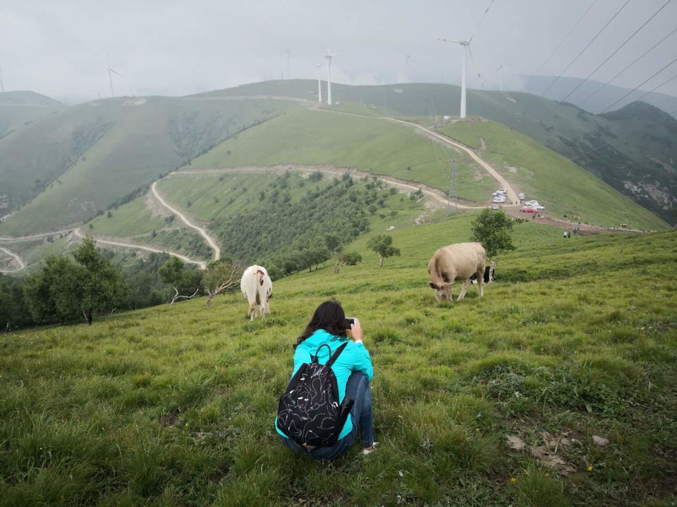 wj8b34WmxvTzx-lgo-2w5XNjT9BWLGZpvrhNlINXk5lMr2qrLk8MUVka_cQV0I1Y