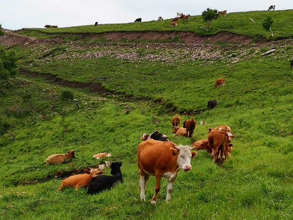 o3NS96EkYPTHnhmUmFexZJc4B35XfGxHnTo608zetPZZPJPOo8uNIJRv_7krDJfx