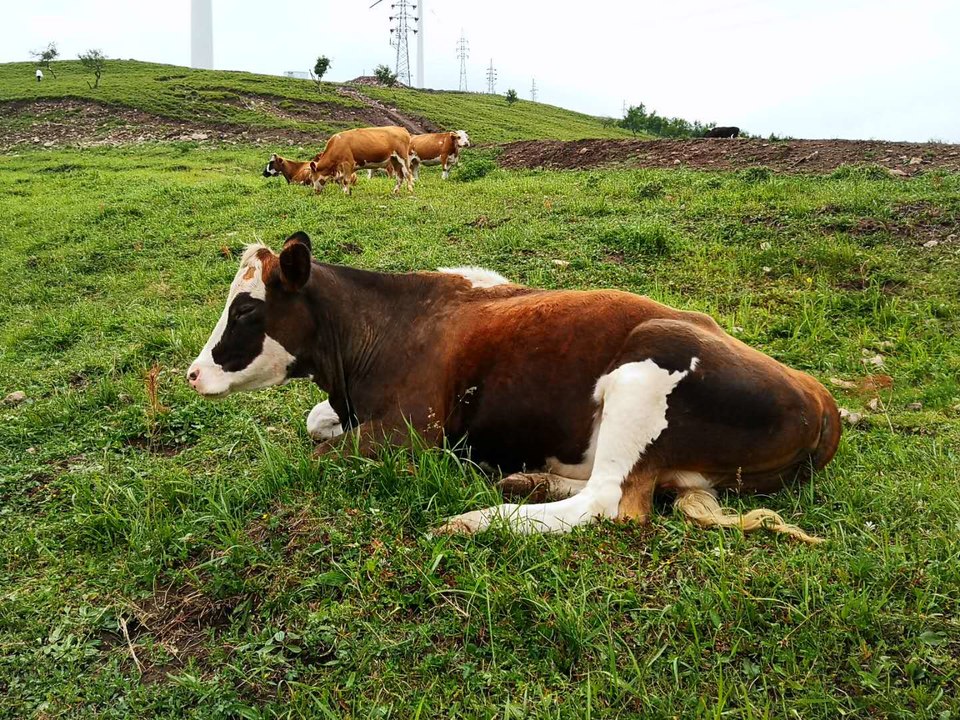 mTuPgzl4ReZ8Sp5CIdeUtxqUxvQkdgLkSaUDlYS2rVBMEScgz2ERW-k7fw9sYauh