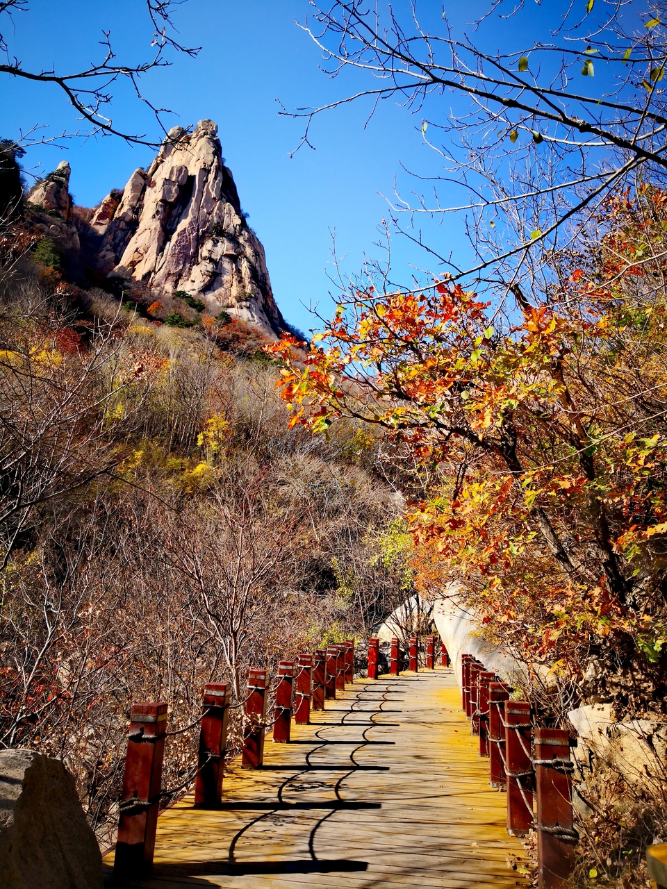 JoHjbjtAjyz4yYlhB8QzF4k-FUMm7z-mrj6uFORZ5PH_z3GNQGq1B35B0LVhzg4e