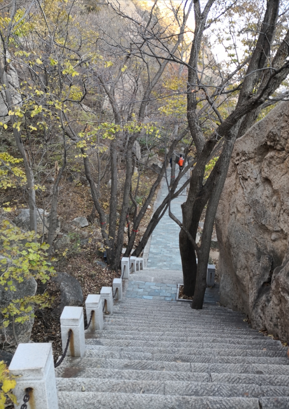 A0ysjeZTeAanxLYwqXplcHUS5cJYfoCWZIdbku-Op7RmFNJ0ST1QfFijYKfxX46_