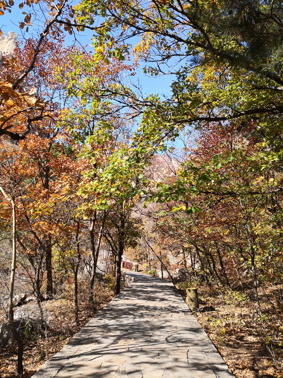 ihROtvRPnk5tcAT4kPKKbkf2eNTLkgMSKbW6ncPiq9E7JcjLVU0KZUDgA5Vr6Qd0