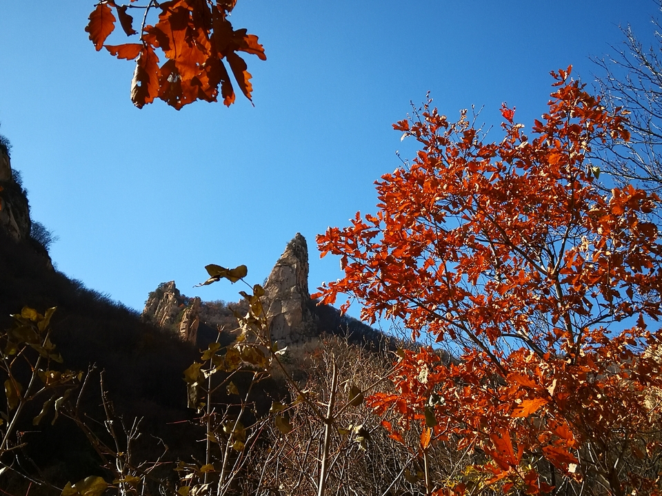 e1Jxxx2LarsSsBye6t3p4QYYe0DOHU_vqSESDjiHLfgOCHgVTaxJ8fj3Ztq6J46S