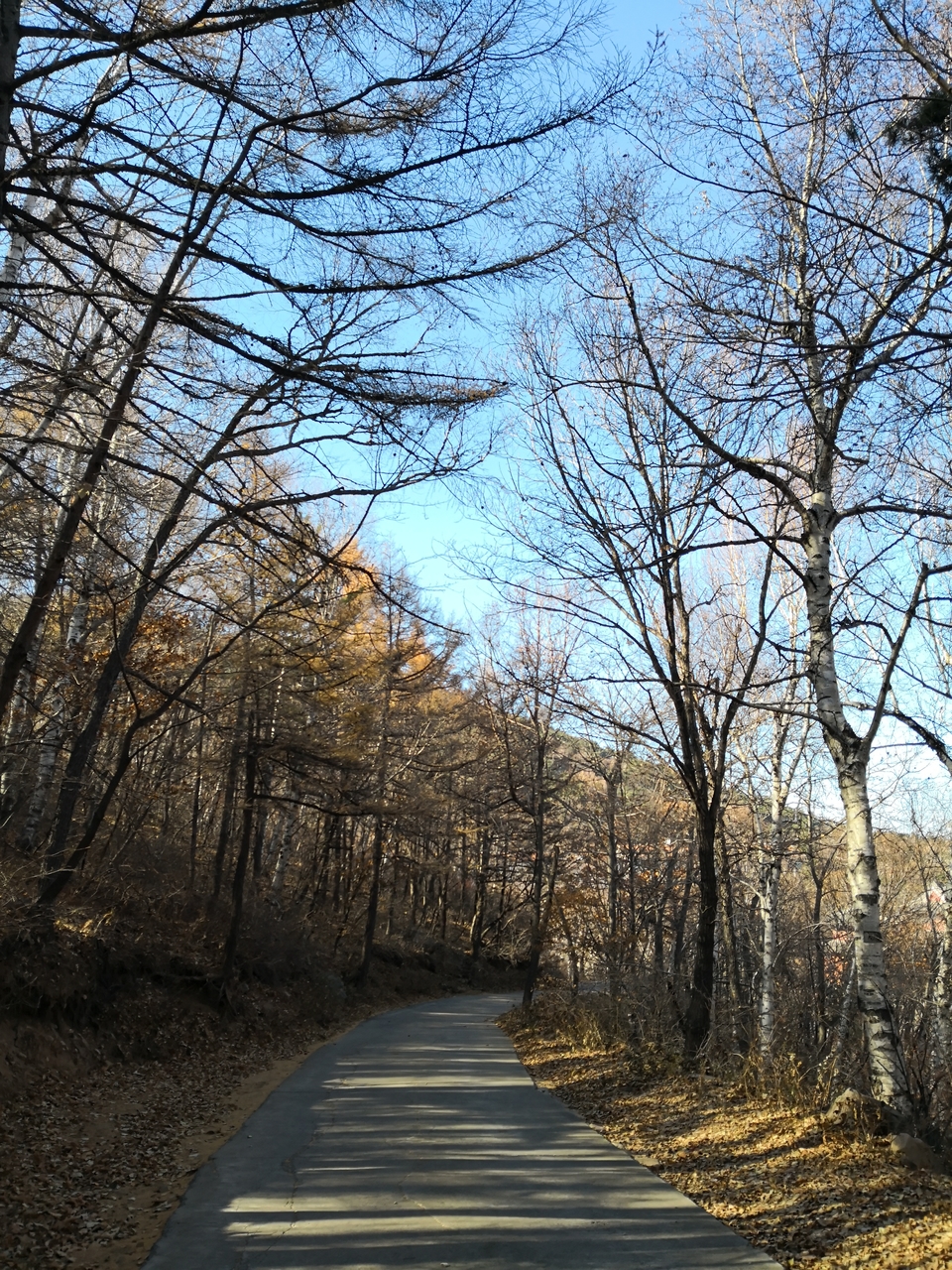 1dtQdCq7PCVpw9x5ubYjLb2q6qayS7-EQl6NykzA0Q9_0UbgyNwd-pc4voO7uHVy