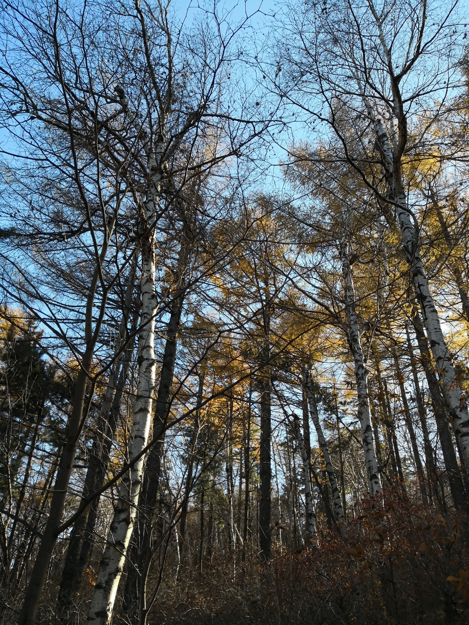 QogOltnPd3d-ovbdAv4BDPRkbI5rkf7Q3_p32GjcxUAuz0qPuY5bSwY7-RIaEt_L