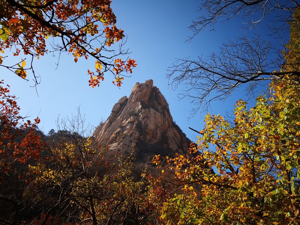 Jl9-K6WbKXGu1smjLmVD05TcgF33FzLWQSeLs-2h2_z9u00j96py0sD-pLujLz24